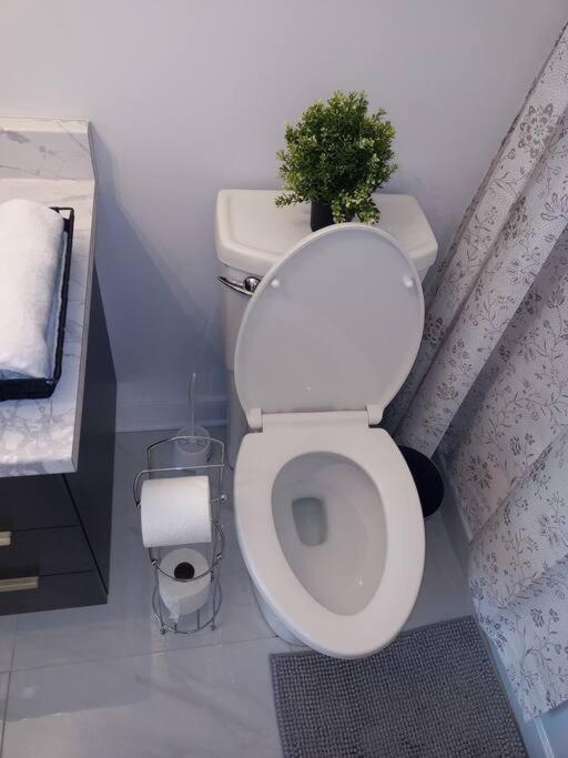 Logement neuf, spacieux