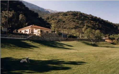 Photo 43