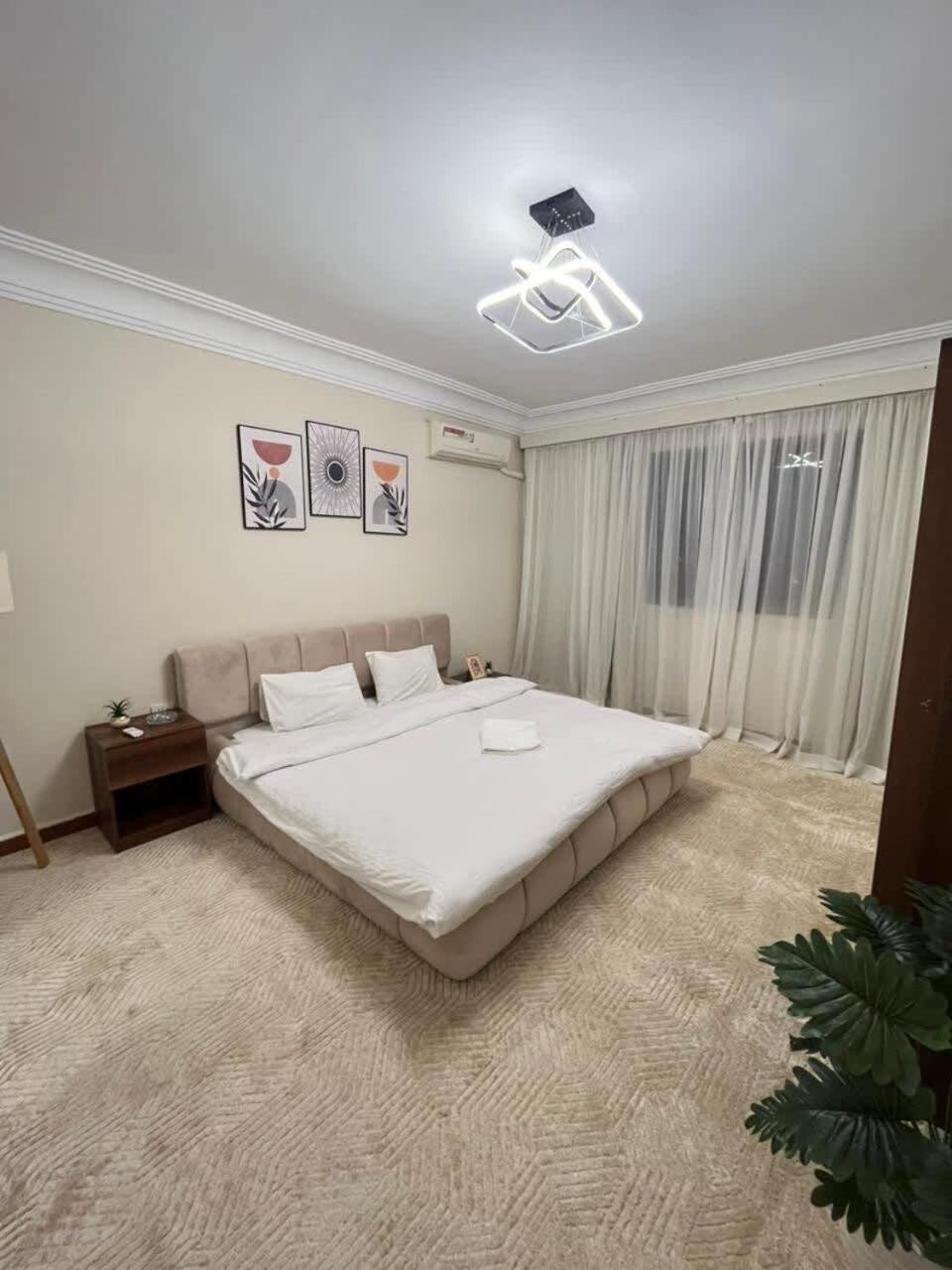 Zamalek Taha Hussein open view