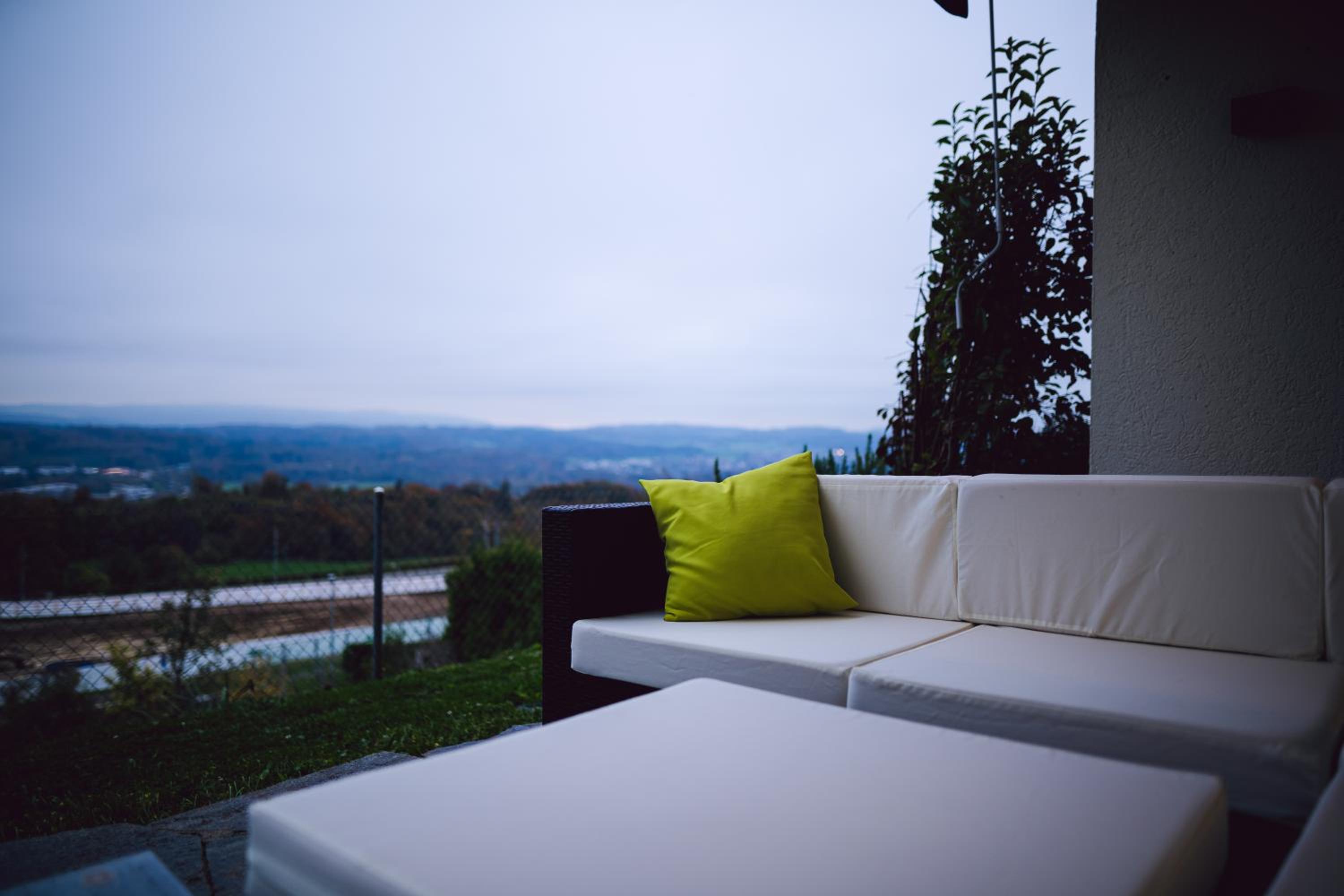 Sky Paradise 20min to zurich city centre