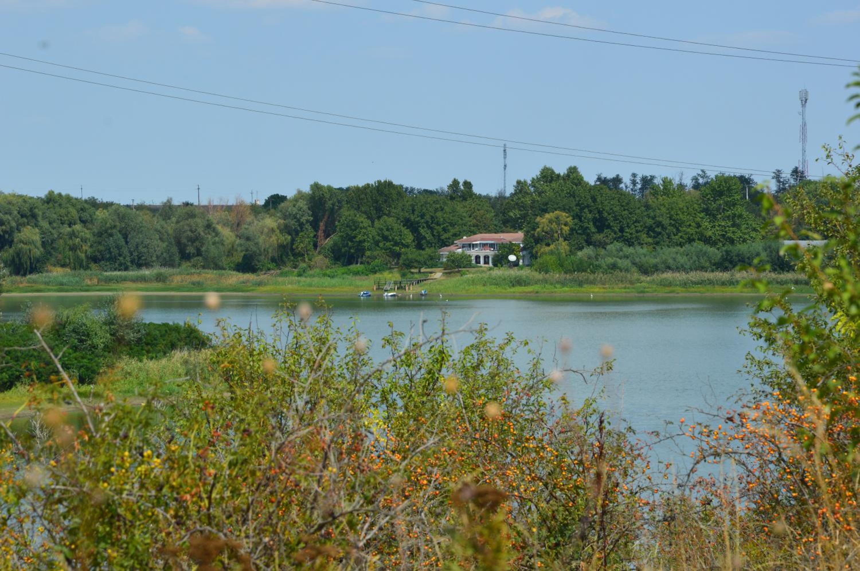 Photo 12