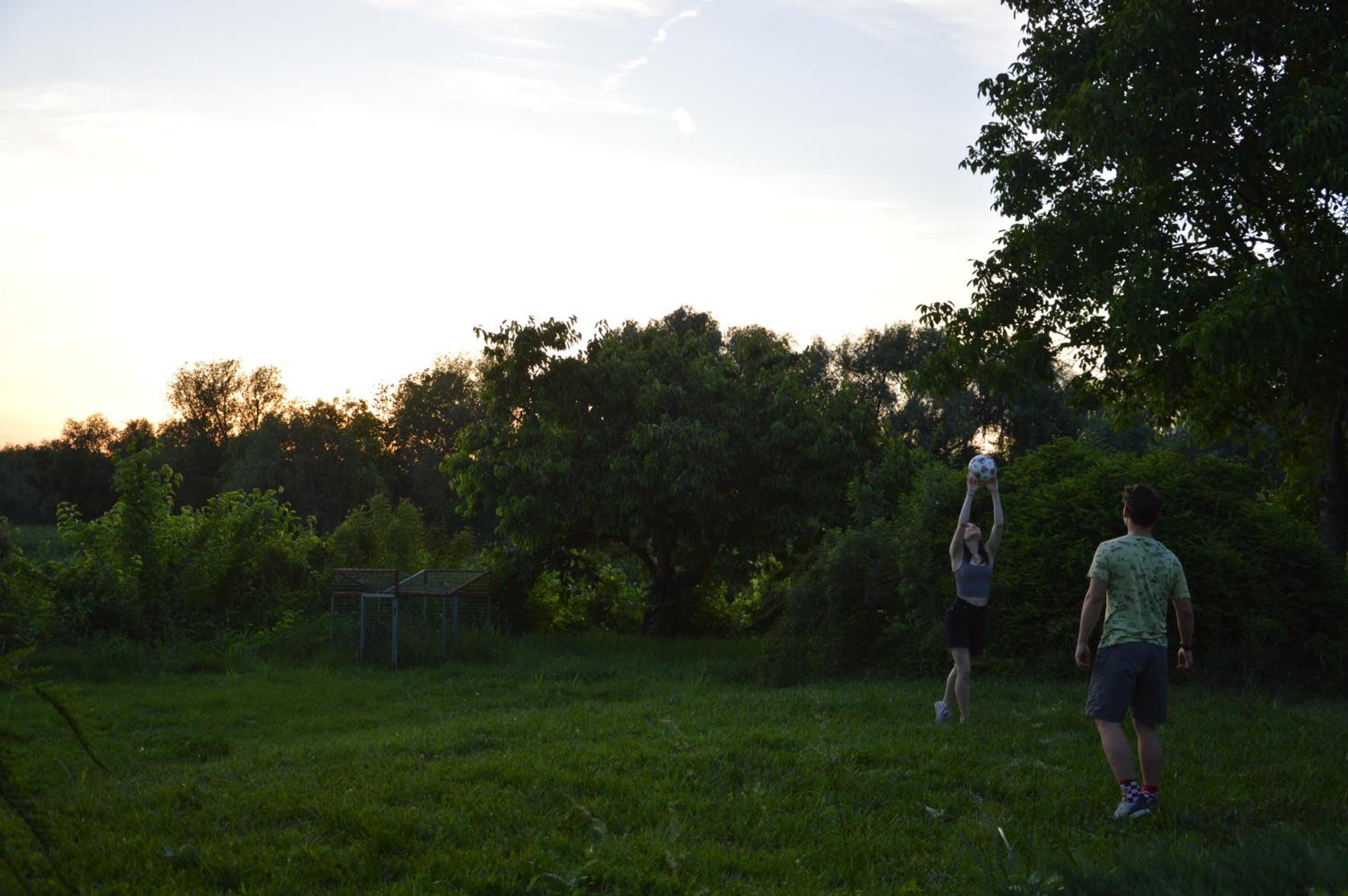 Photo 24