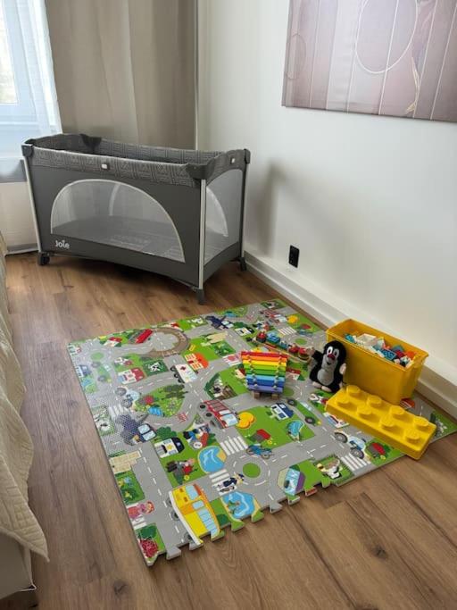 spacious flat near city center