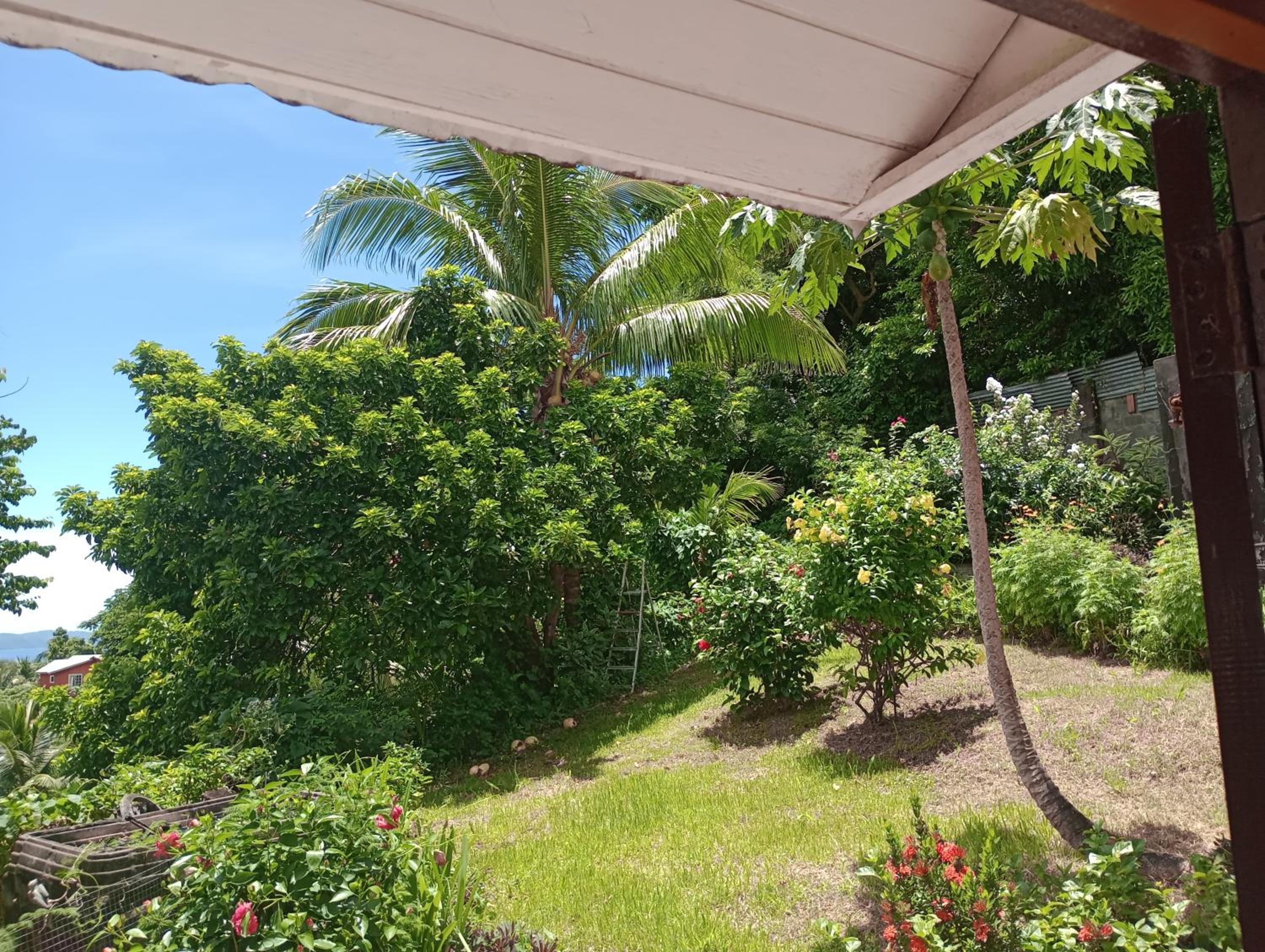 Garifuna Retreat Apartment view 4