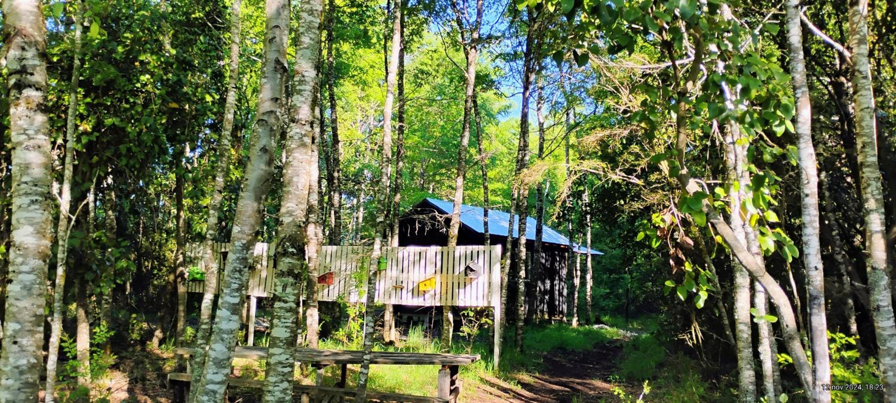 Cabaña Ruka trinar