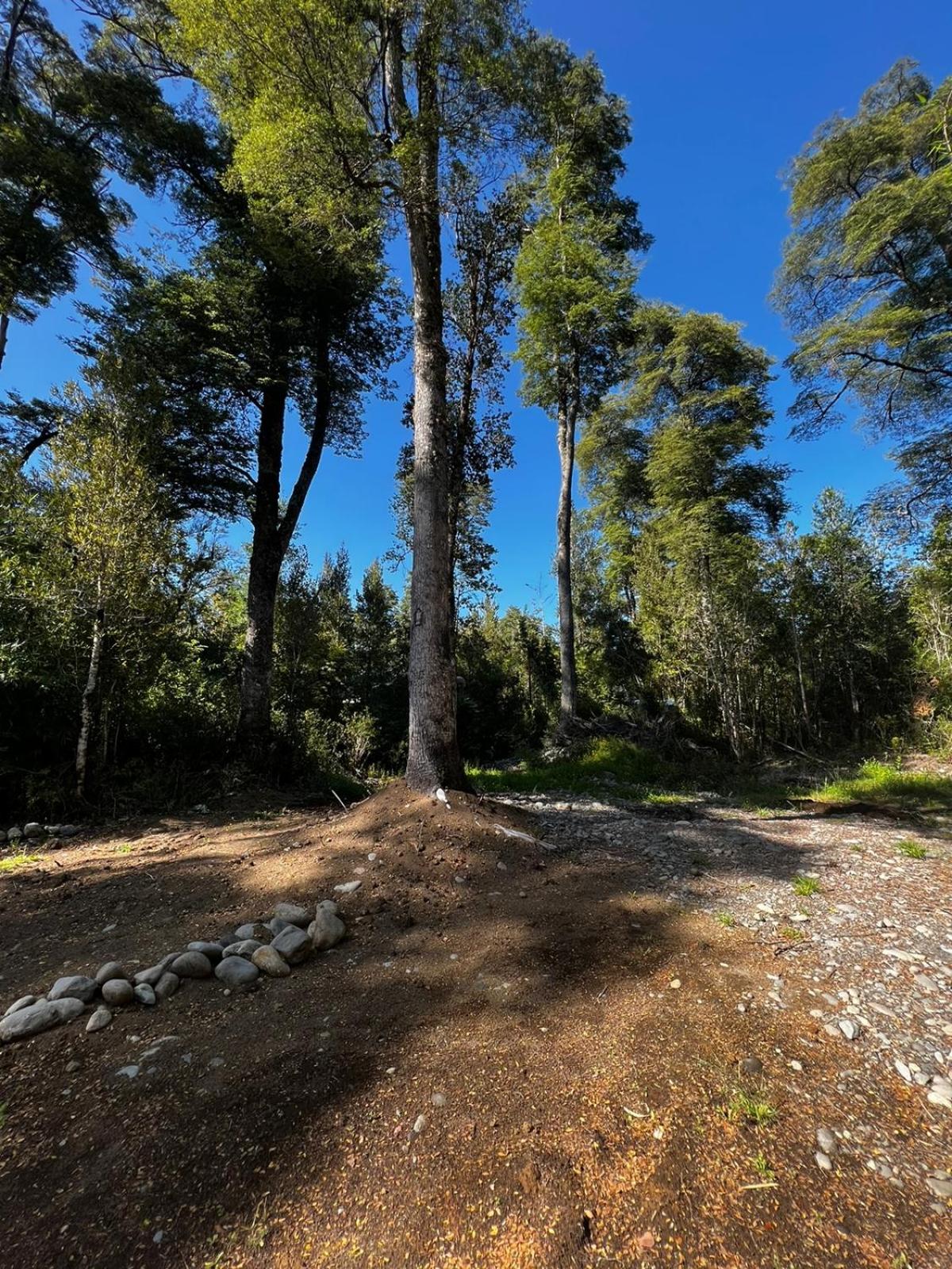 REFUGIO RIVER PUELO