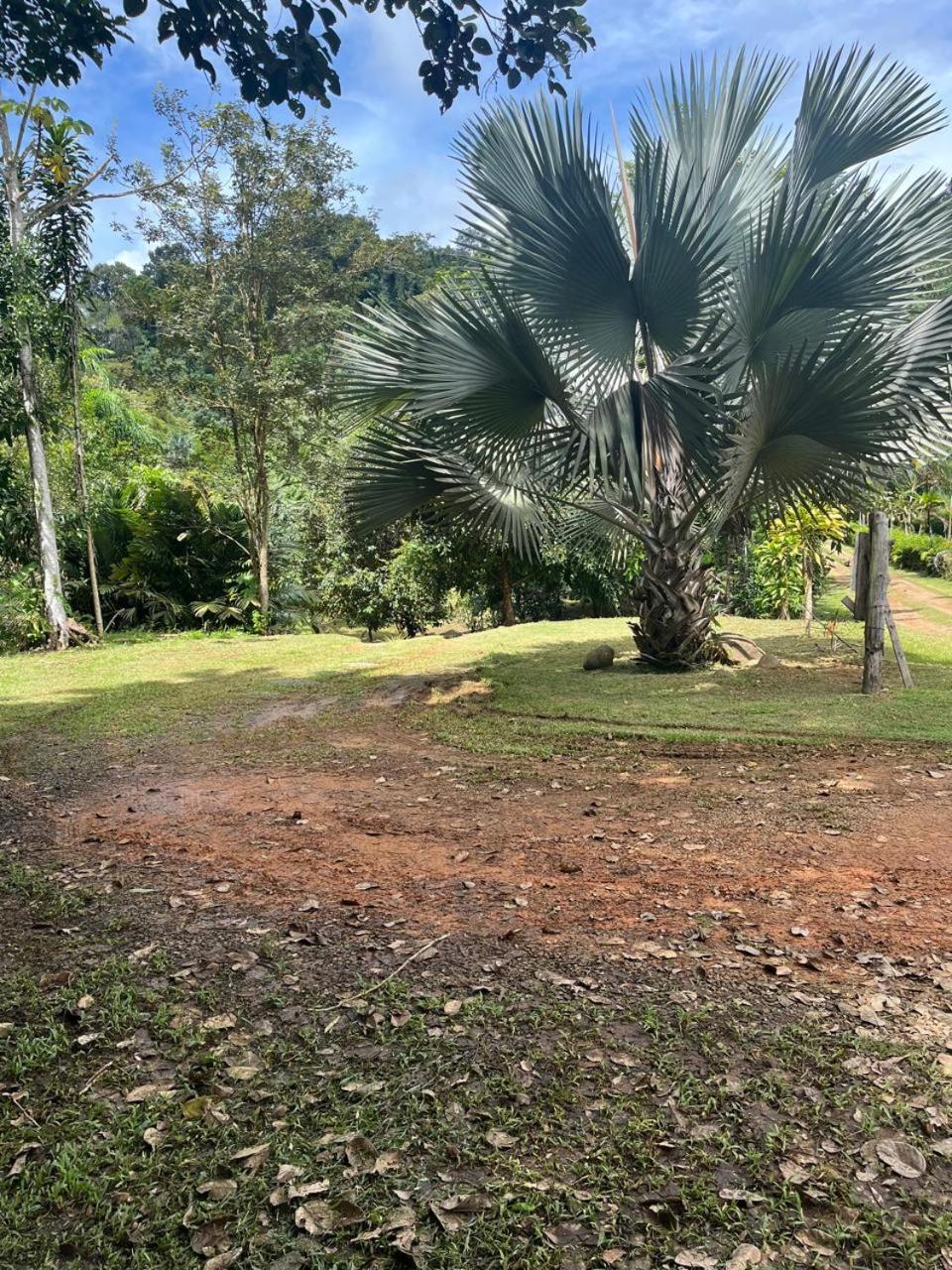 Bamboo Jungle Cabin 3 nights minimum stay