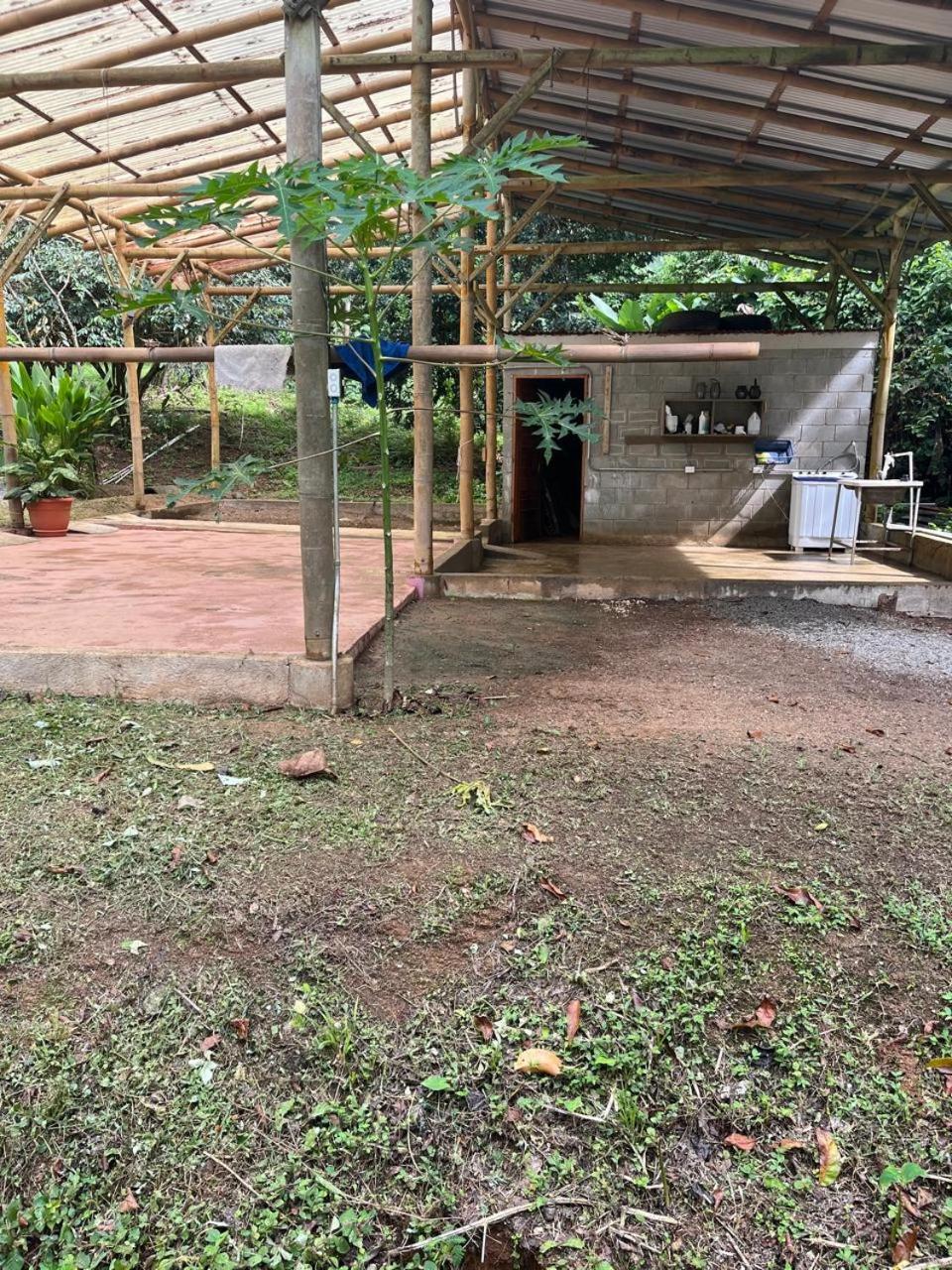 Bamboo Jungle Cabin 3 nights minimum stay