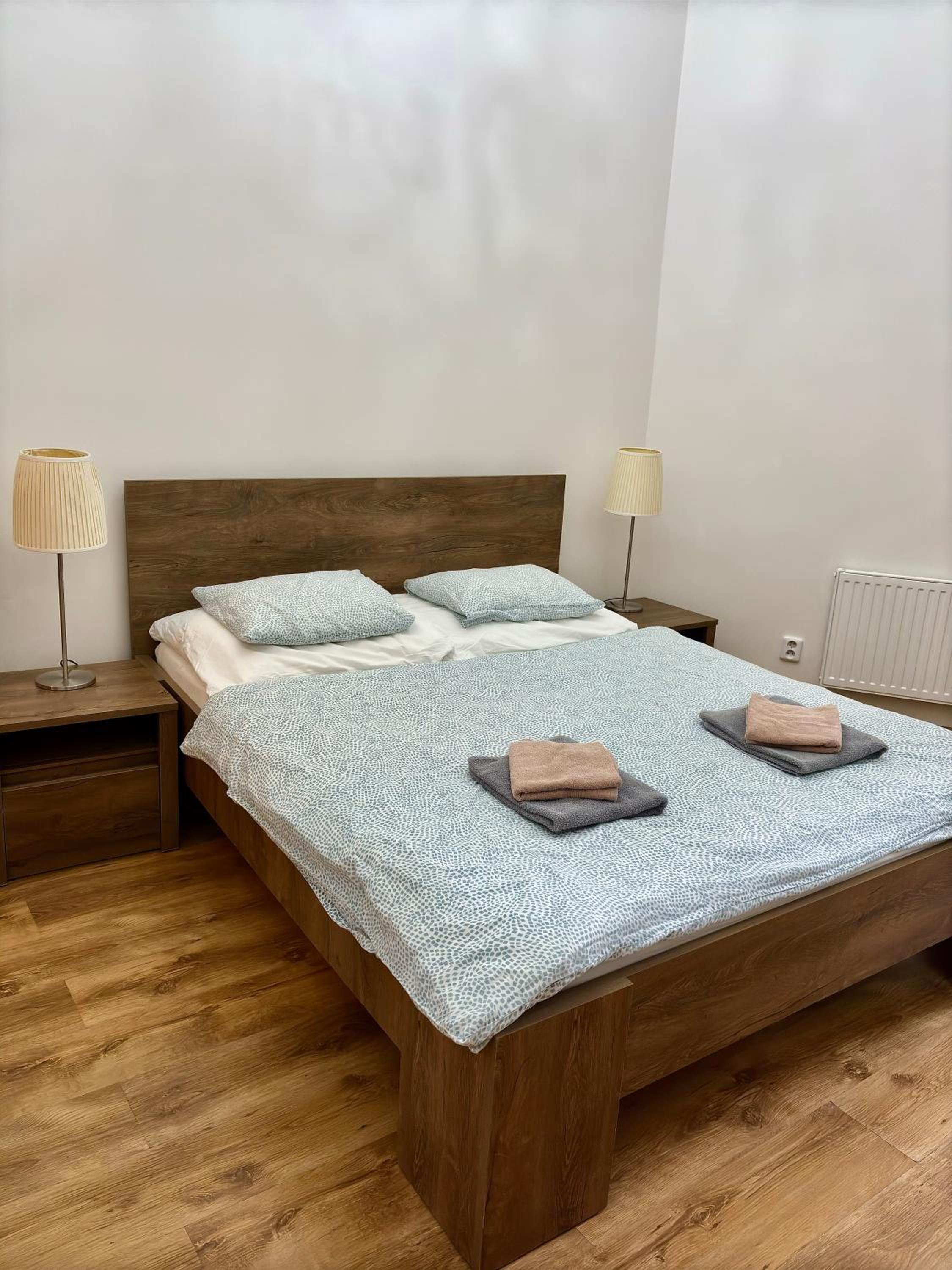 Apartment Belveder Brno view 2