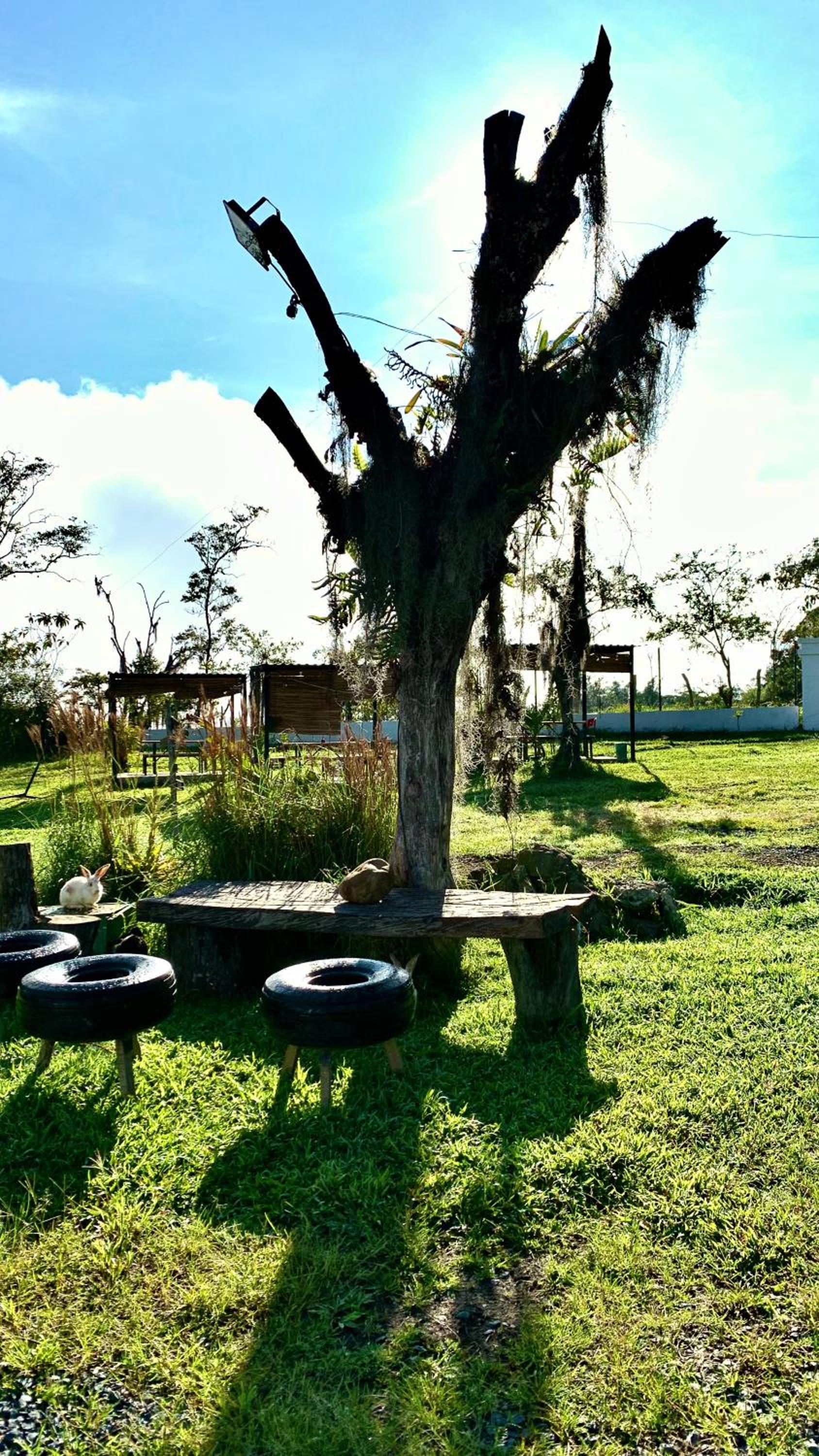 Cabaña rústica