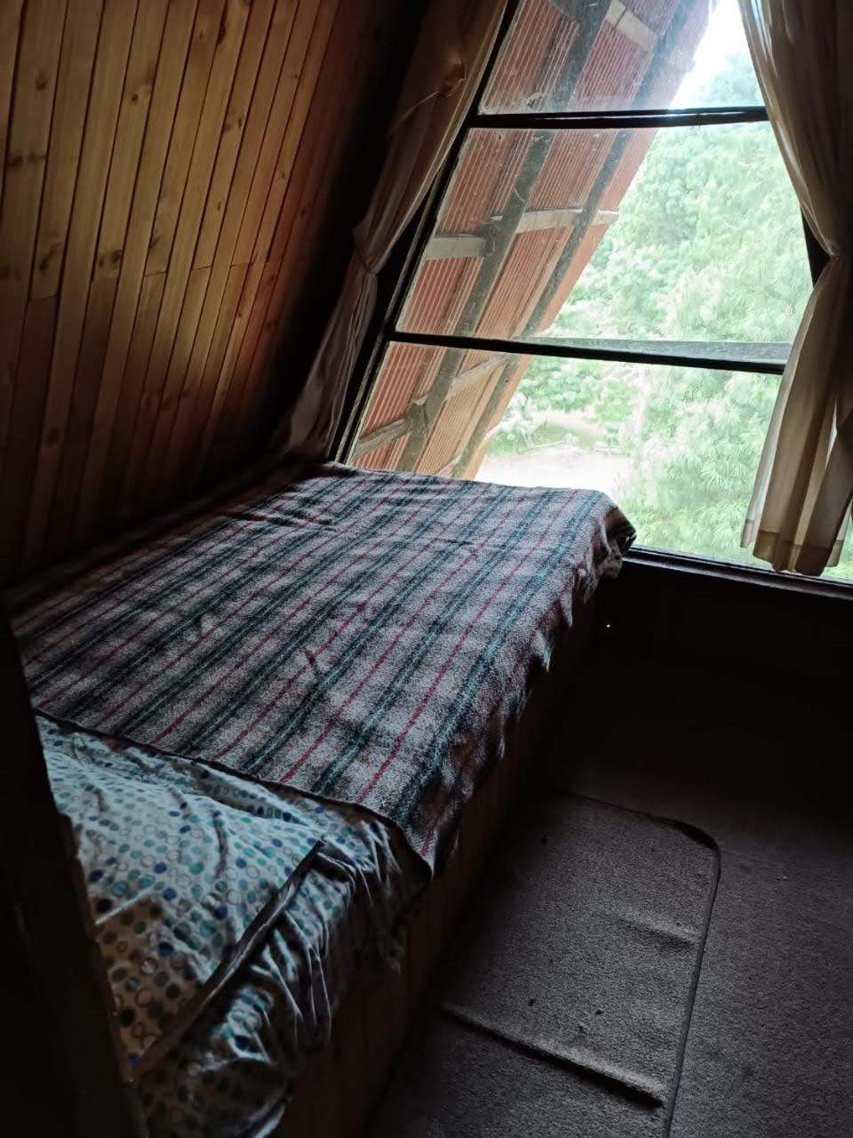 Photo 47