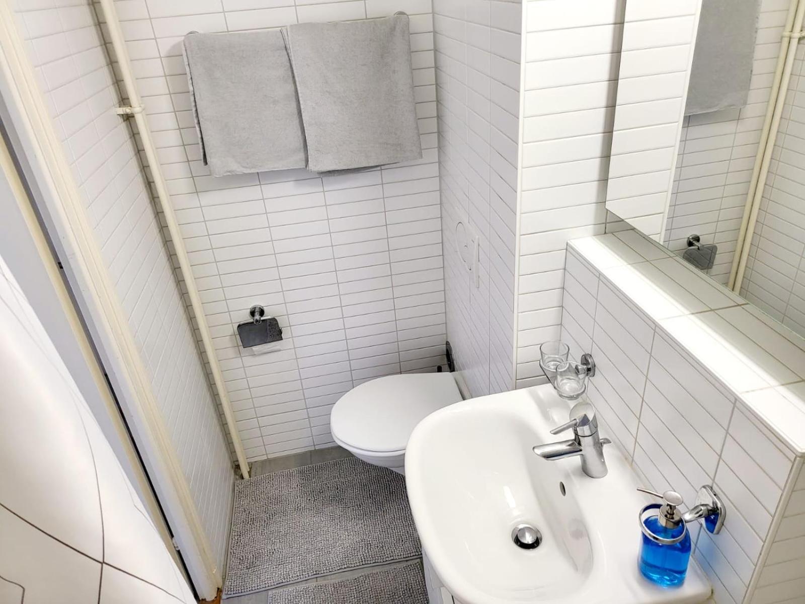 Swiss Flat Rental