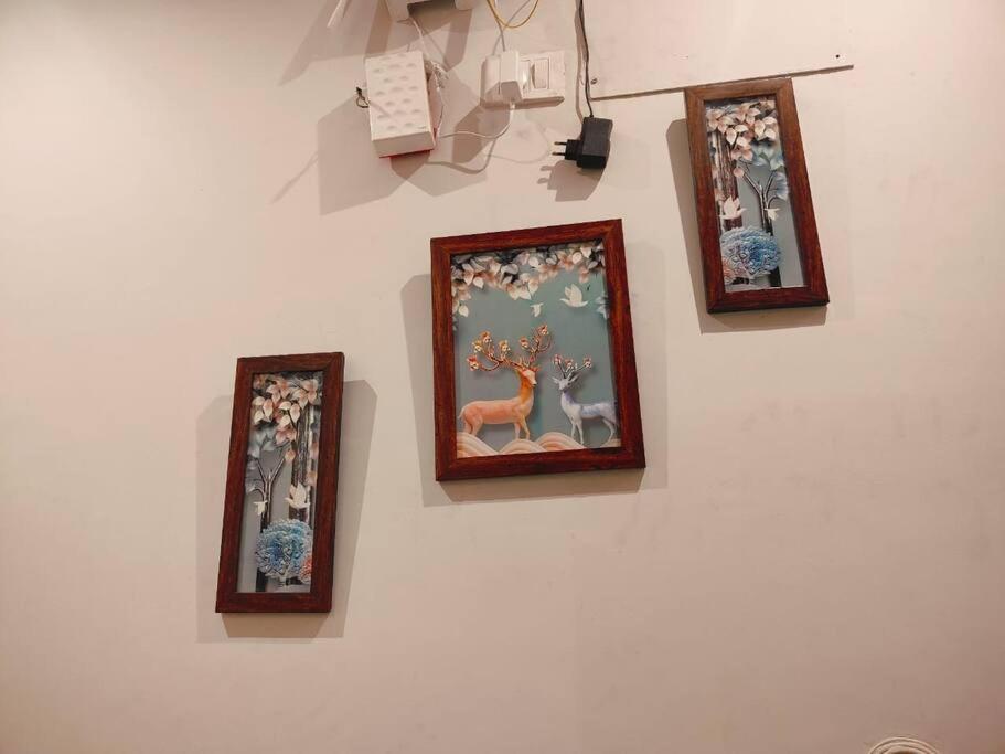 Photo 36