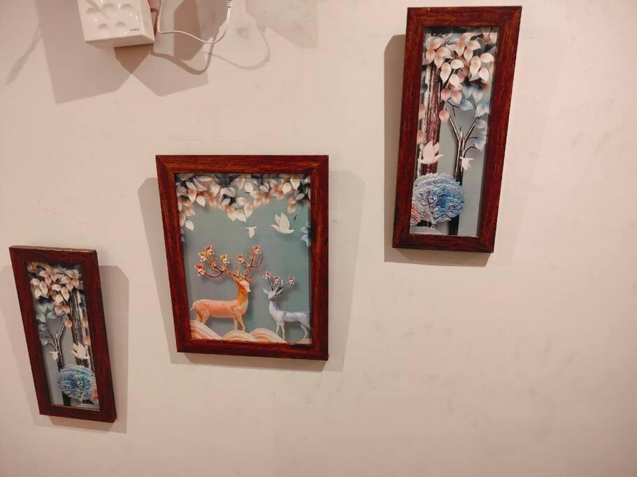 Photo 46