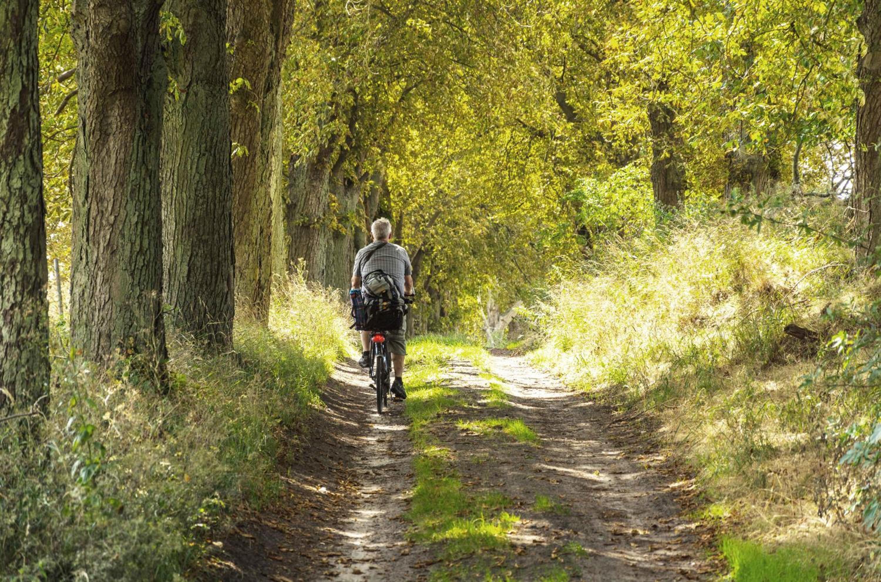 Wiesenfalter - Ferienwohnung im Herzen der Mecklenburgischen Schweiz direkt am Krakower See