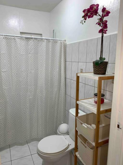 Ternura Apartment