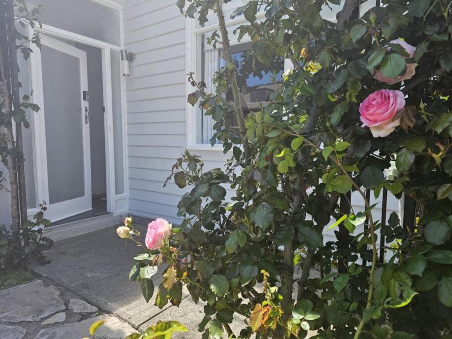 RoseIris Cottage - City Charm in Central West Hobart