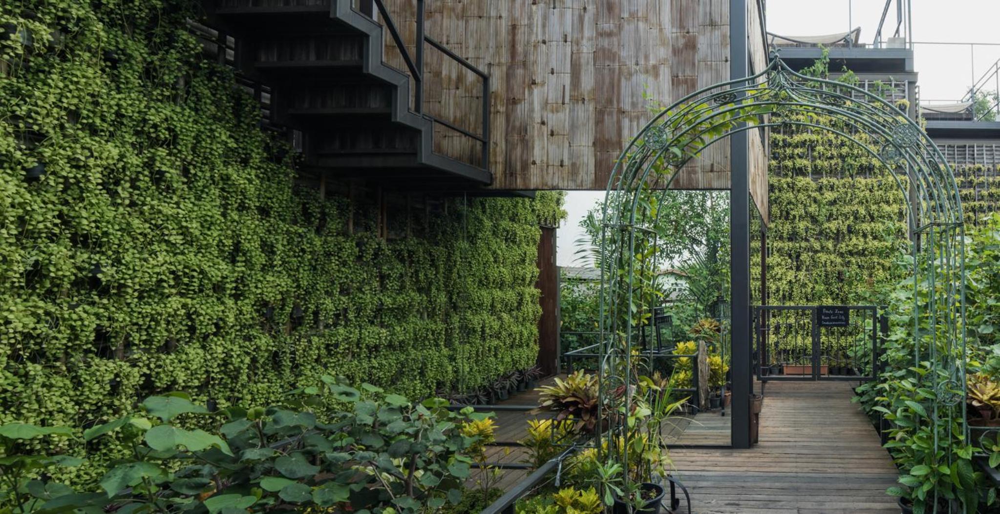 Bangkok Tree House Bang Kachao