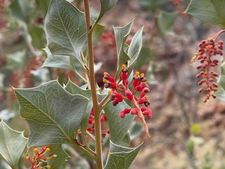 Secure bush sanctuary