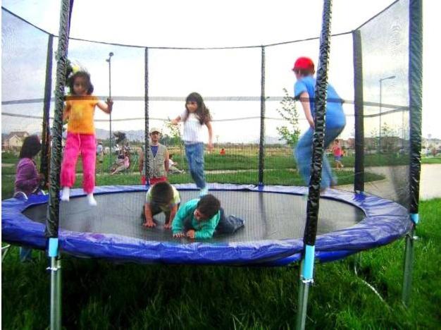 Photo 41
