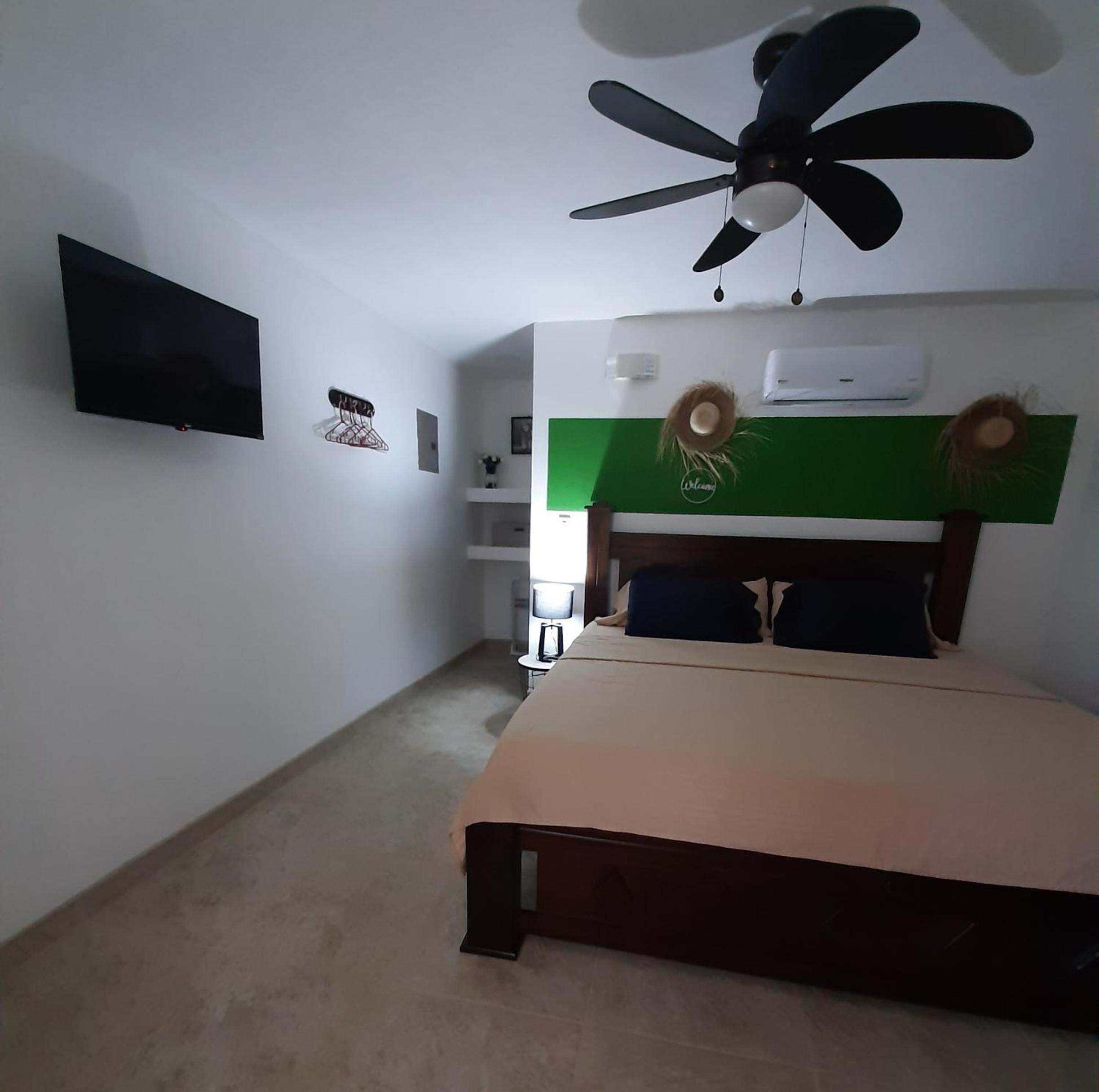 Casa Motmot