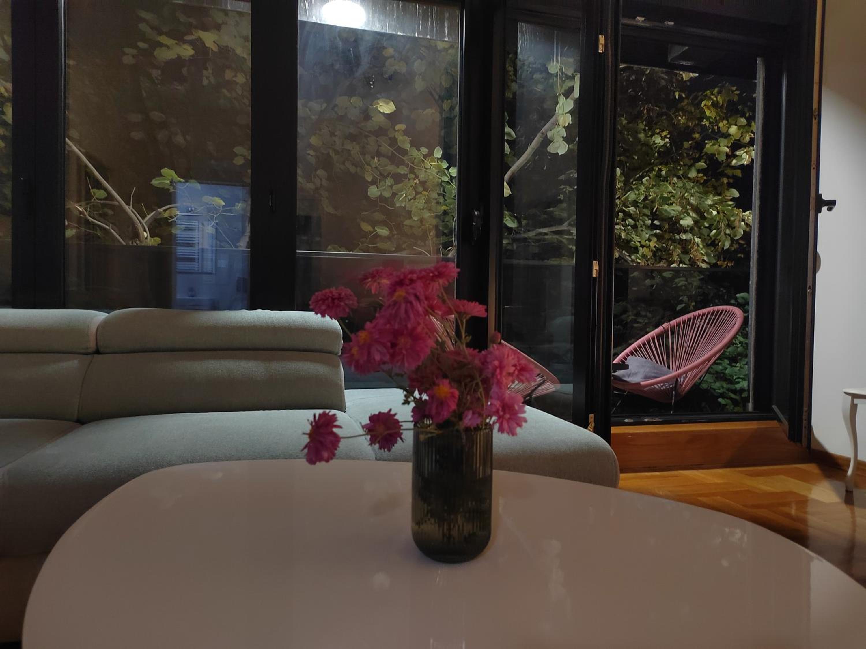 Cozy Nest view 3