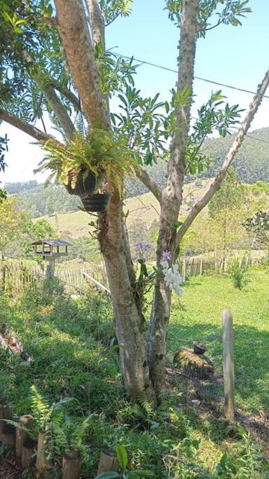 Pousada Recanto dos Pássaros