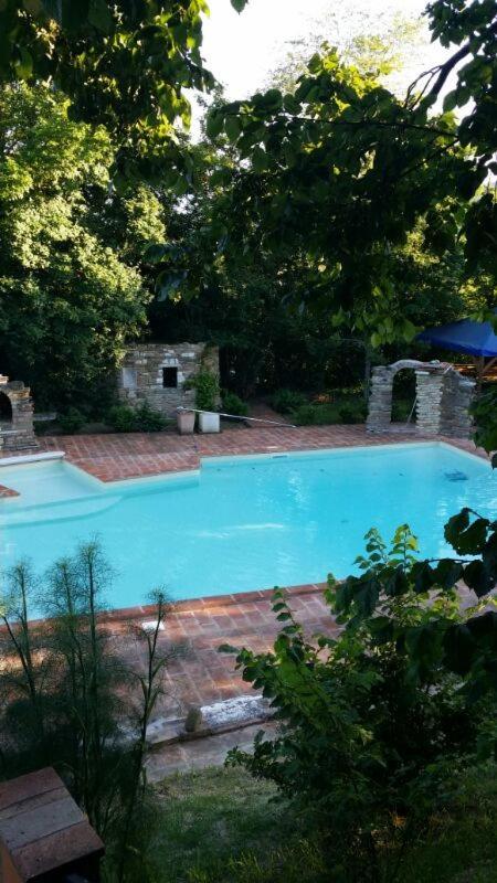 Photo 217