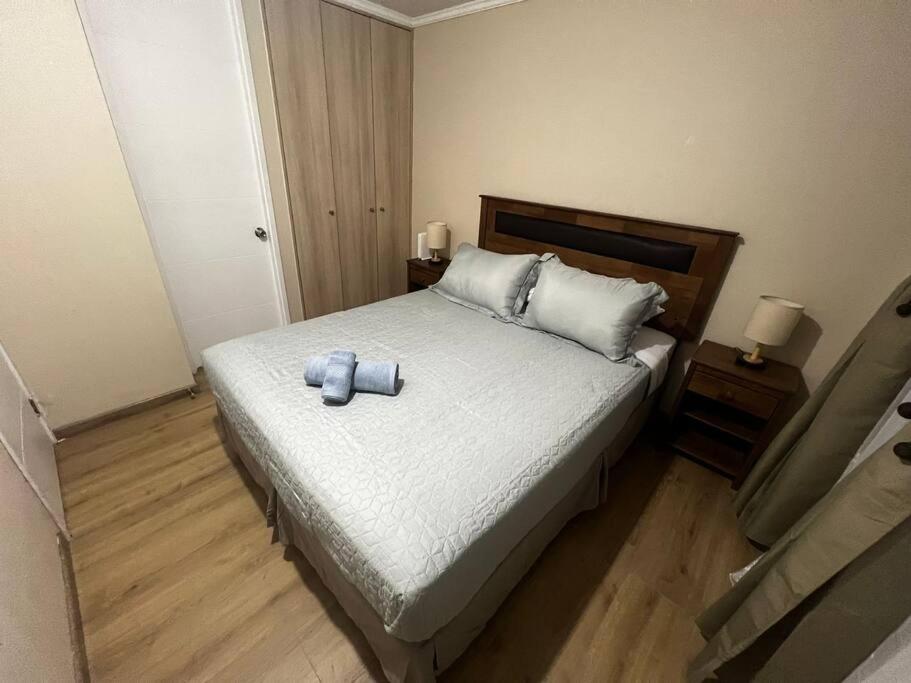 Departamento central en Santiago