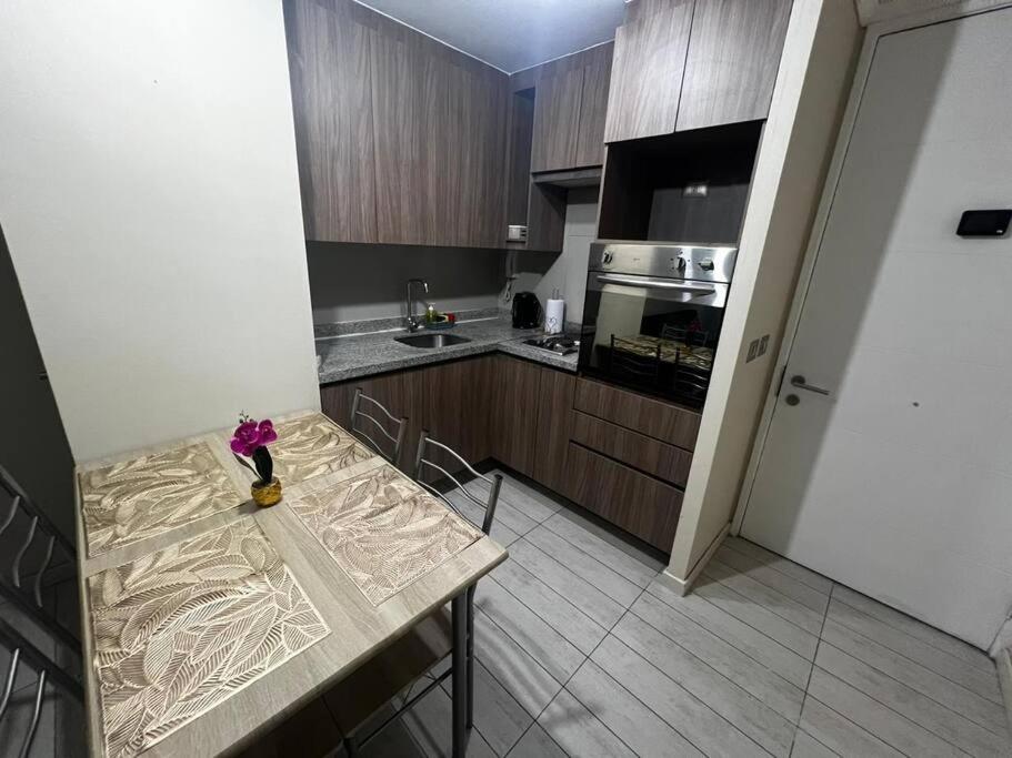Departamento central en Santiago