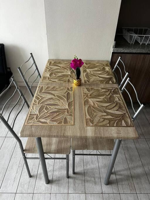 Departamento central en Santiago