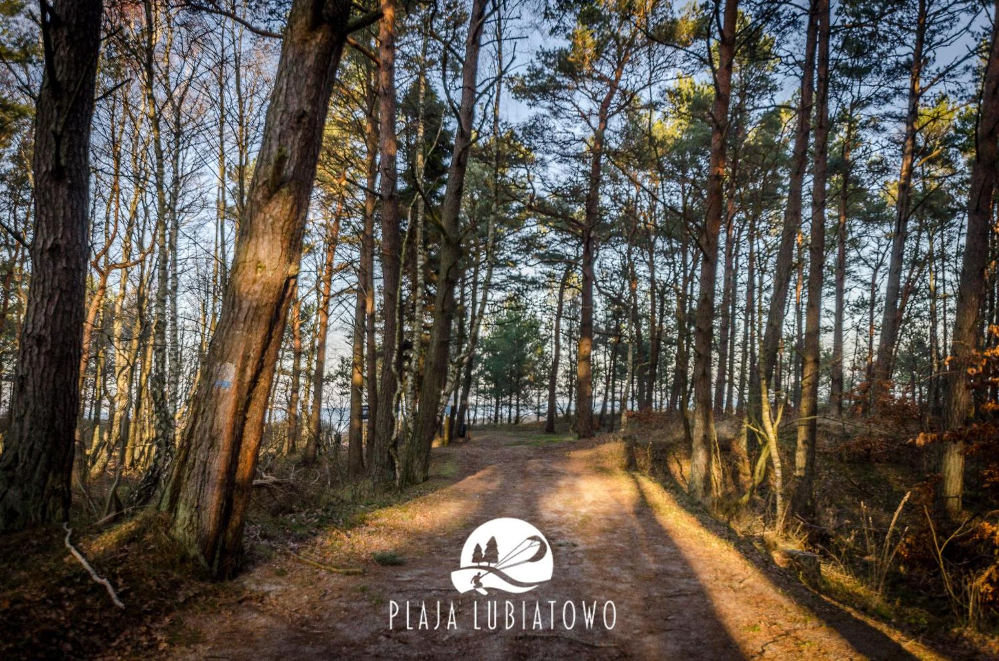 Domy Plaja Lubiatowo