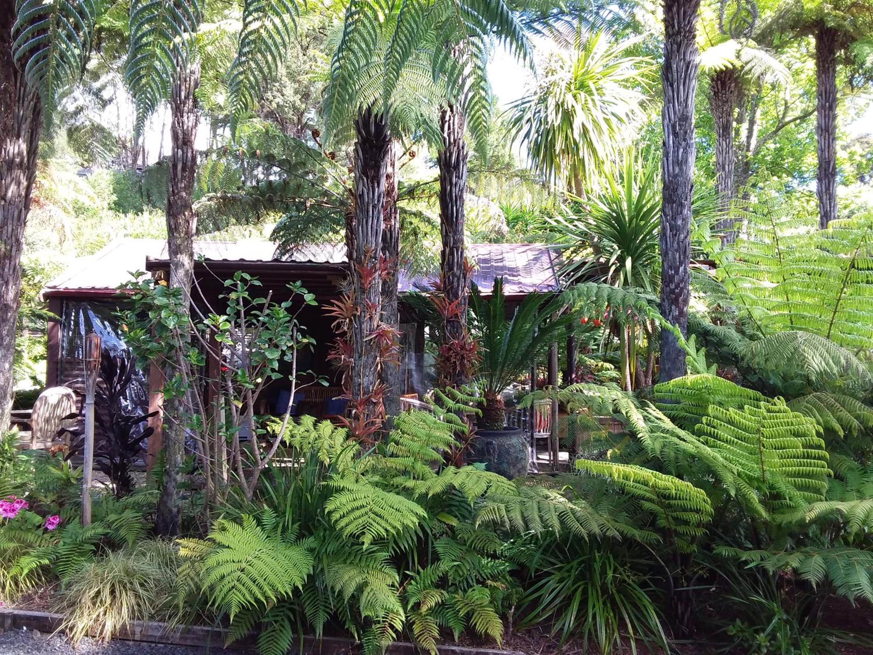 Photo 11