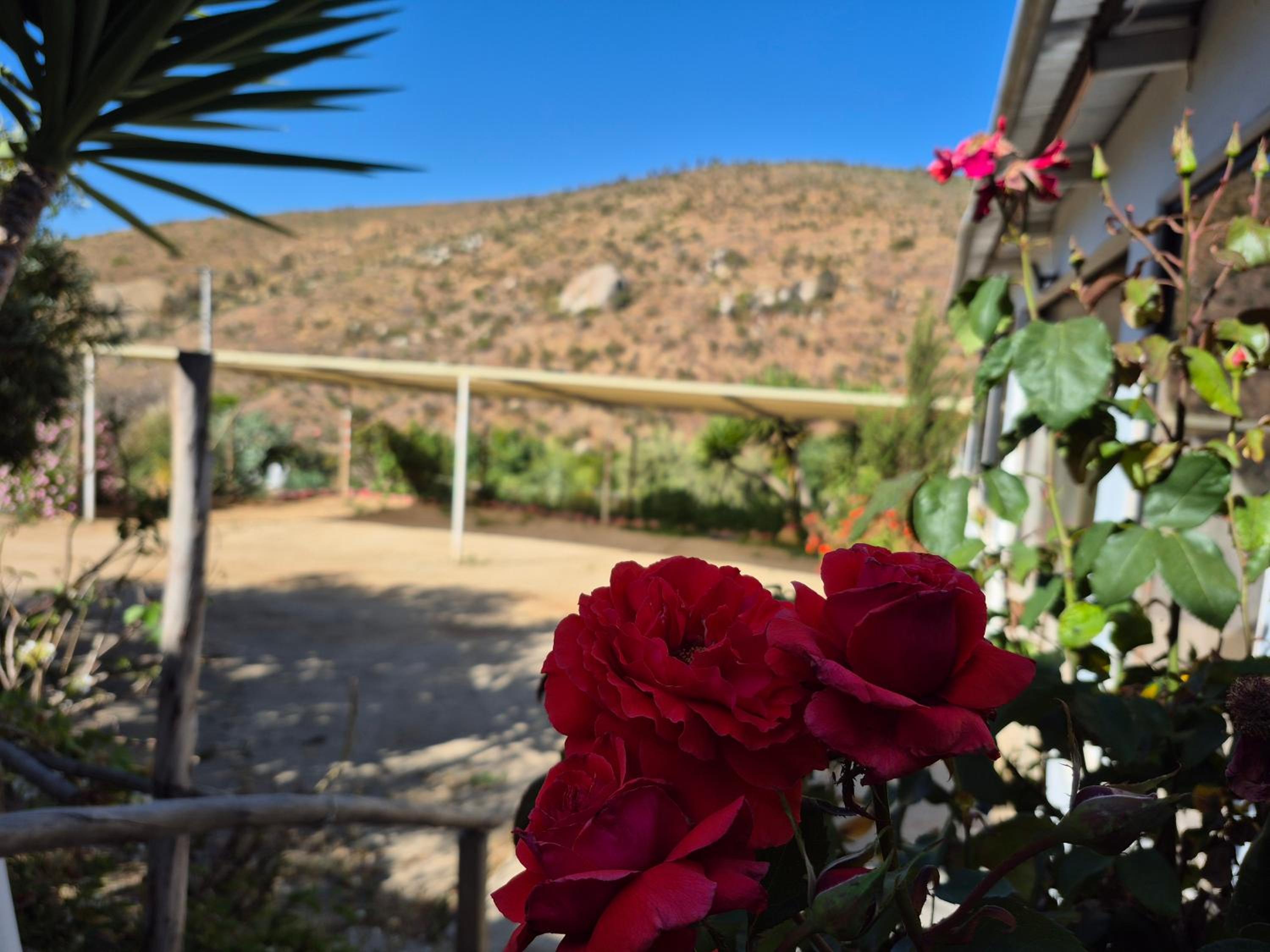Hostal Los Almendros
