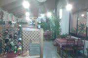 Kis-Duna Motel & Camping view 4