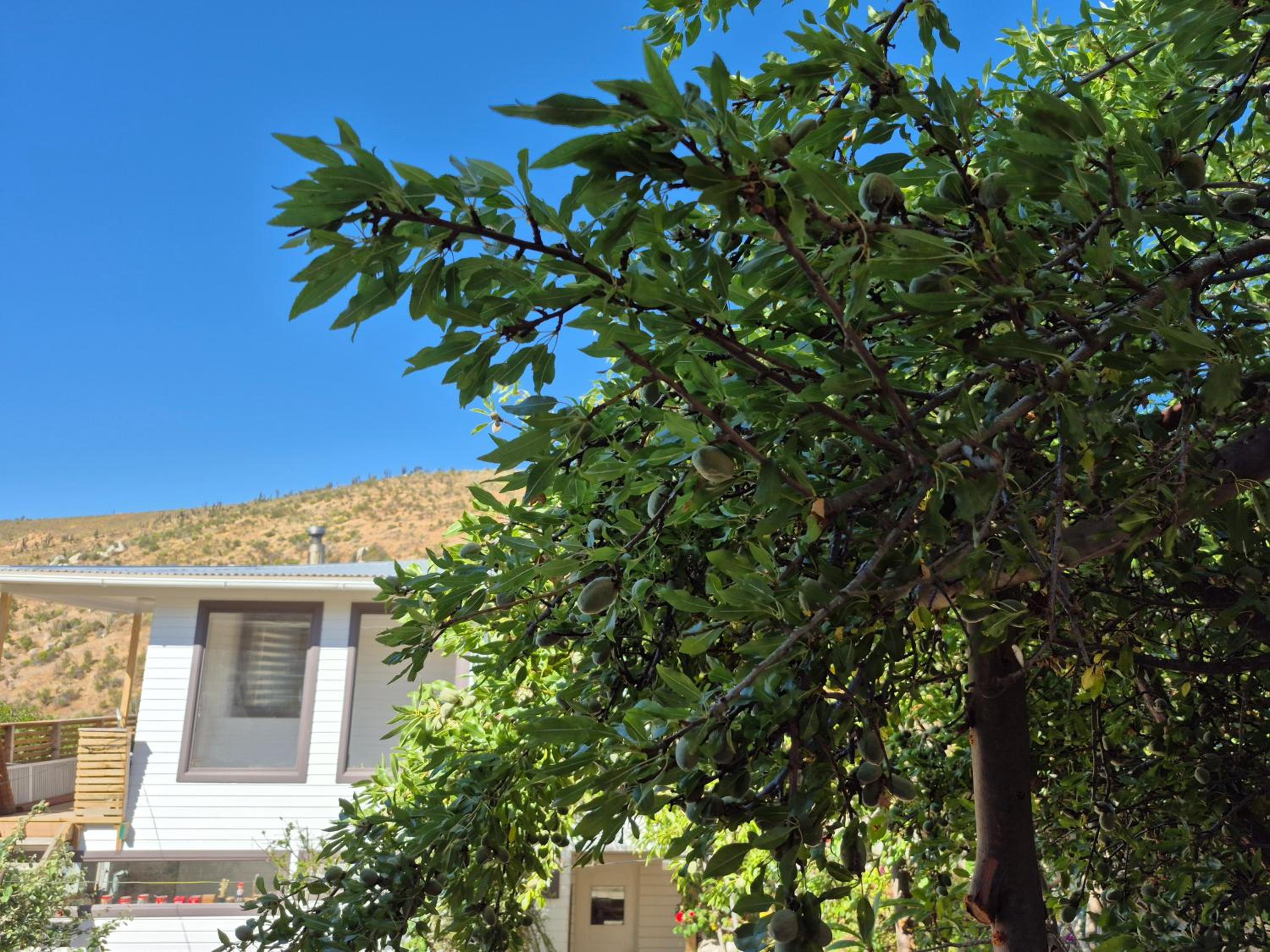Hostal Los Almendros