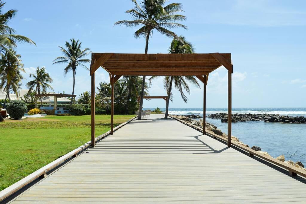 Photo 42