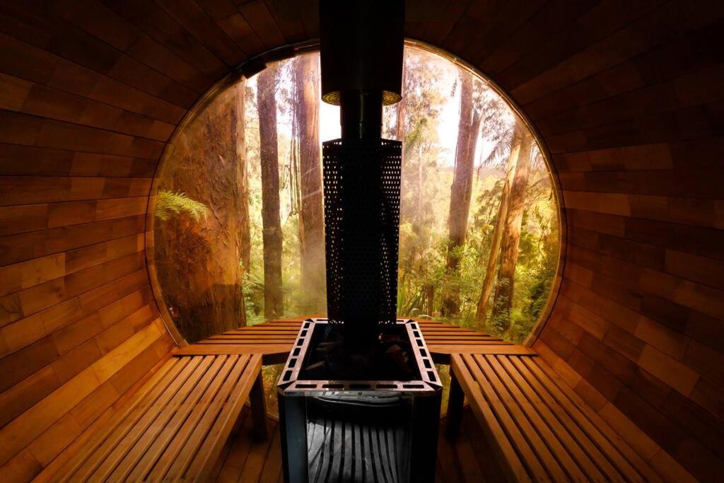 Forest Retreat