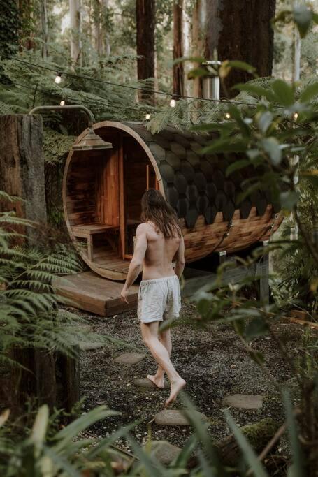 Forest Retreat