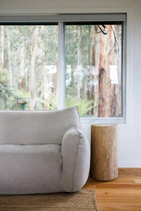 Forest Retreat