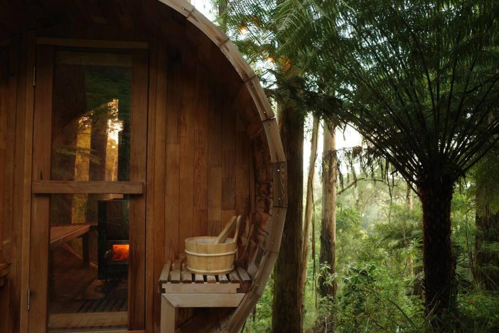 Forest Retreat
