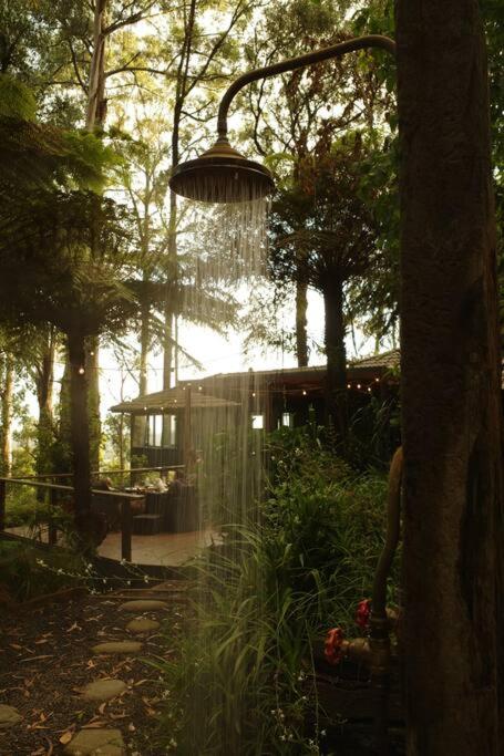 Forest Retreat