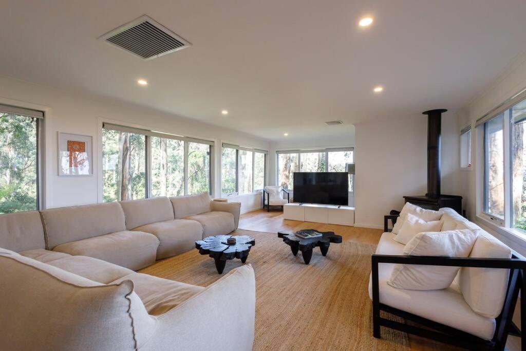 Forest Retreat