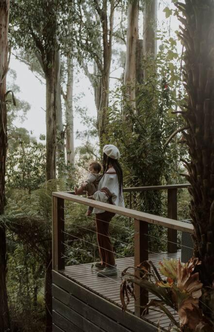 Forest Retreat