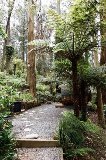 Forest Retreat