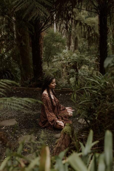 Forest Retreat