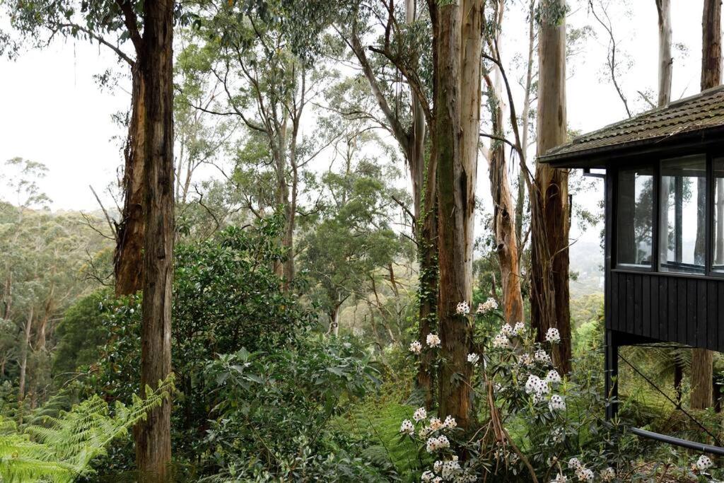 Forest Retreat