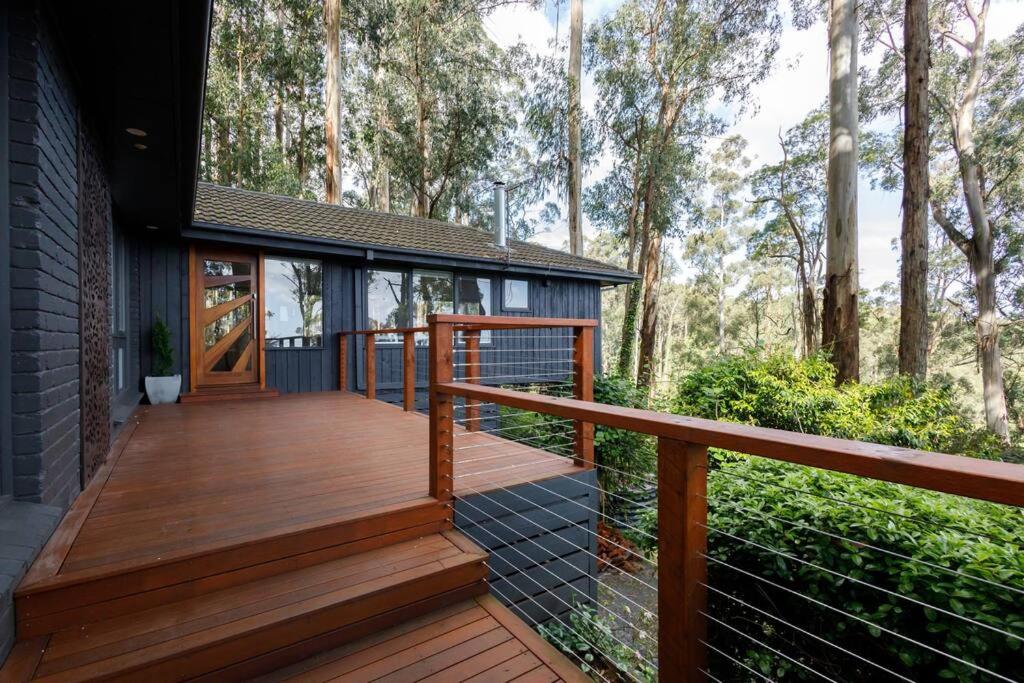 Forest Retreat