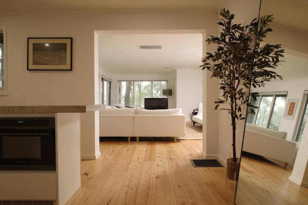 Forest Retreat