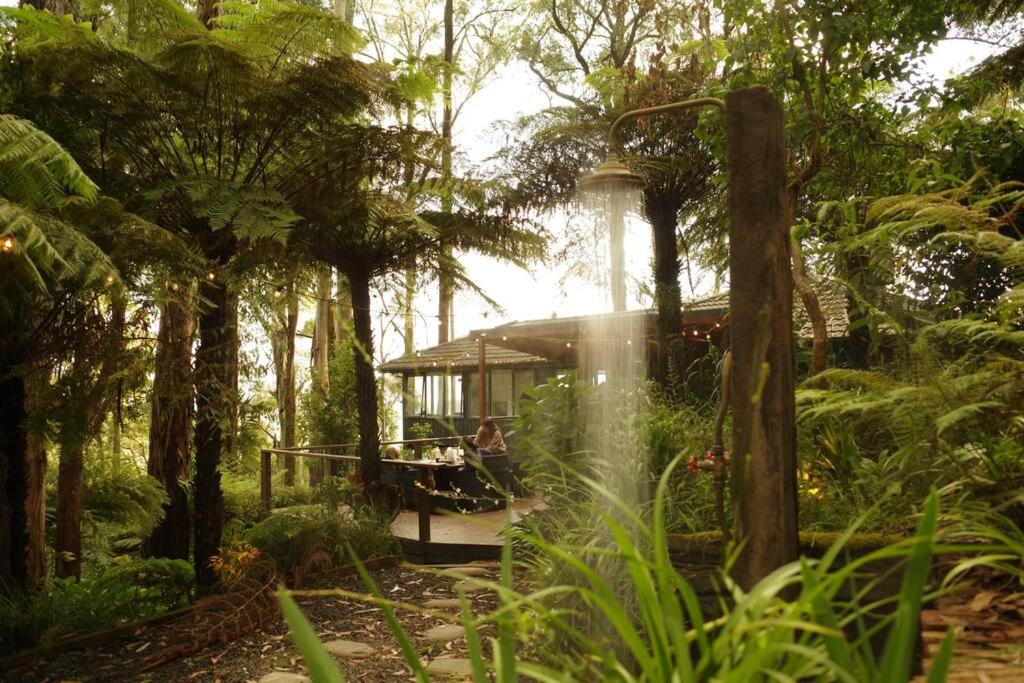 Forest Retreat